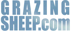 grazingsheep.com