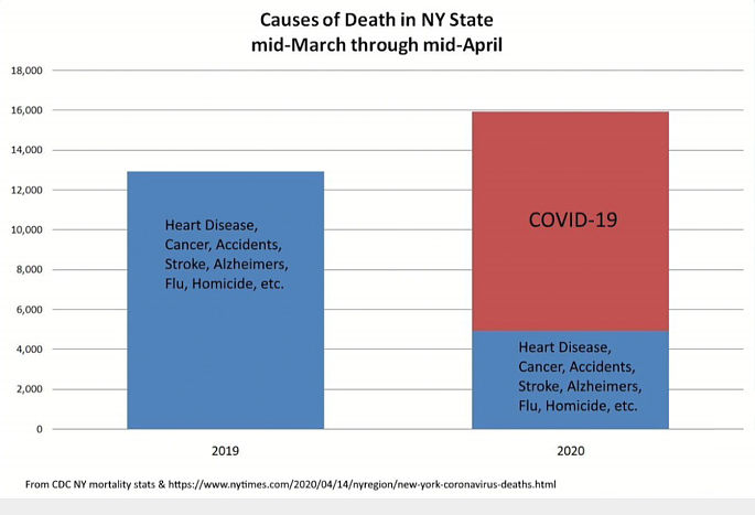 Mortality rates in New York State for 2019 and 2020